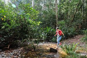 BIB: 
                            <button type="button" onclick="openModal(22350421)" class="btn btn-primary btn-sm float-right btn-popup" data-toggle="modal" data-target=".modal-high-quality">
                        <i class="fas fa-shopping-cart"></i> Add to Cart
                    </button>
                                            <button type="button" onclick="isThisMe(22350421, true)" class="btn btn-success btn-sm float-right btn-popup btn-isme hidden" data-toggle="tooltip" data-placement="bottom" title="นี่คือรูปของคุณใช่ไหม คลิกที่นี่เพื่อเอาเข้าอัลบั้ม">
                        <i class="fas fa-plus"></i> Add to album
                    </button>
                    <button type="button" onclick="isThisMe(22350421, false)" class="btn btn-warning btn-sm float-right btn-popup btn-isnotme hidden">
                        <i class="fas fa-ban"></i> Remove from album
                    </button>